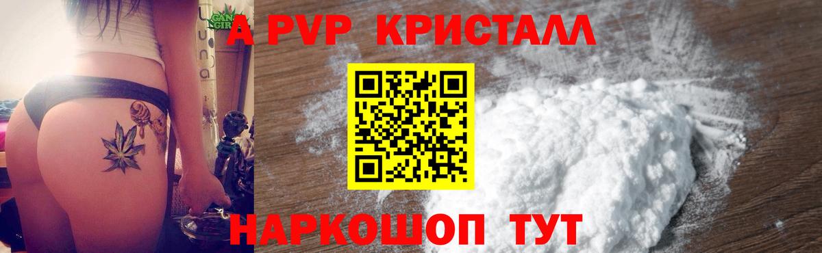 Alfa_PVP СК Надым