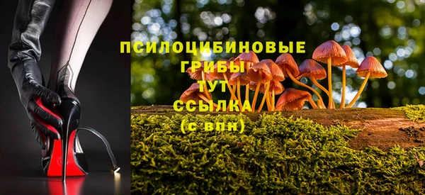 МДПВ Новодвинск