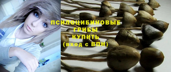 МДПВ Новодвинск