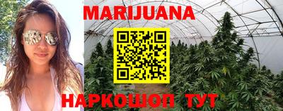PSILOCYBIN Канаш