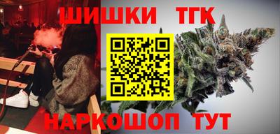 стаф Камышлов