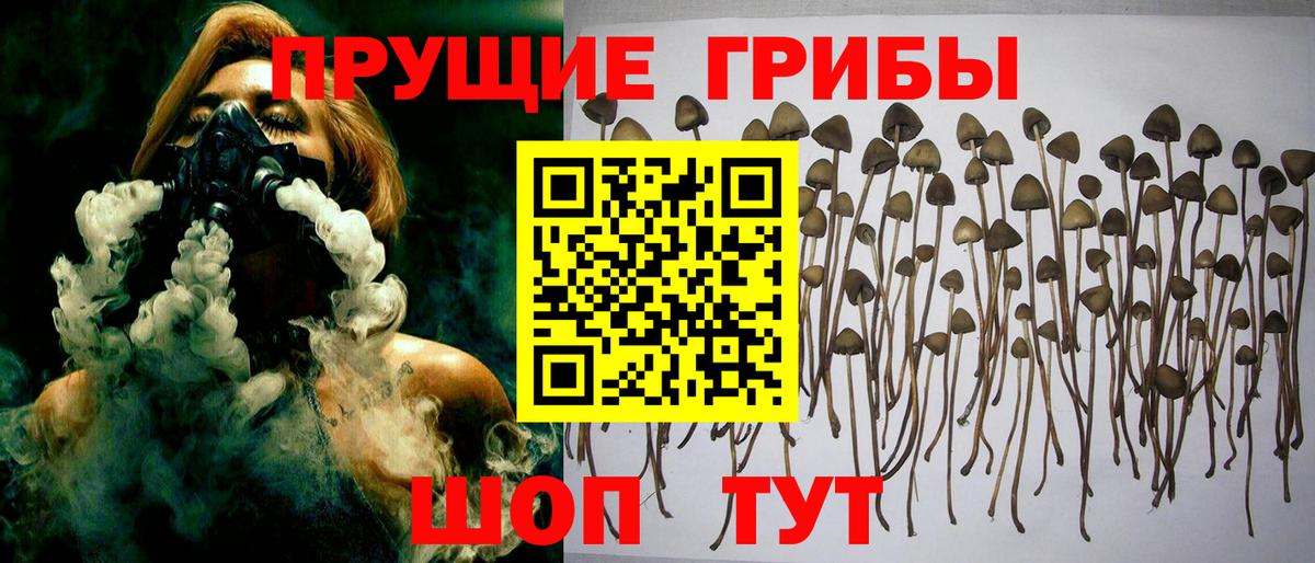 Галлюциногенные грибы GOLDEN TEACHER  Галлюциногенные грибы Cubensis  Надым 