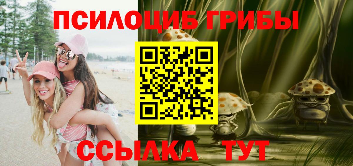 цена   Псилоцибиновые грибы Magic Shrooms  Вход с VPN  Надым 