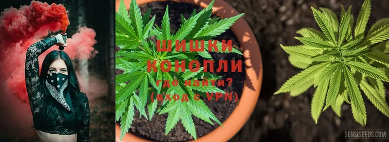 Канабис SATIVA & INDICA  Надым 